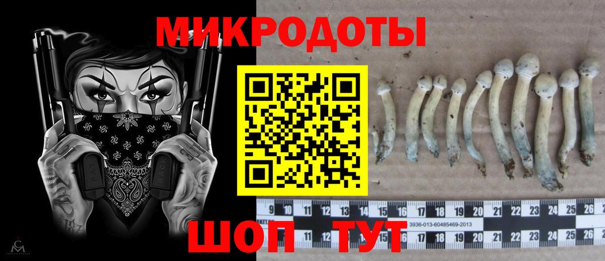 Псилоцибиновые грибы мицелий Павловский Посад